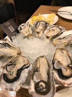 かきIMG_2444.jpg